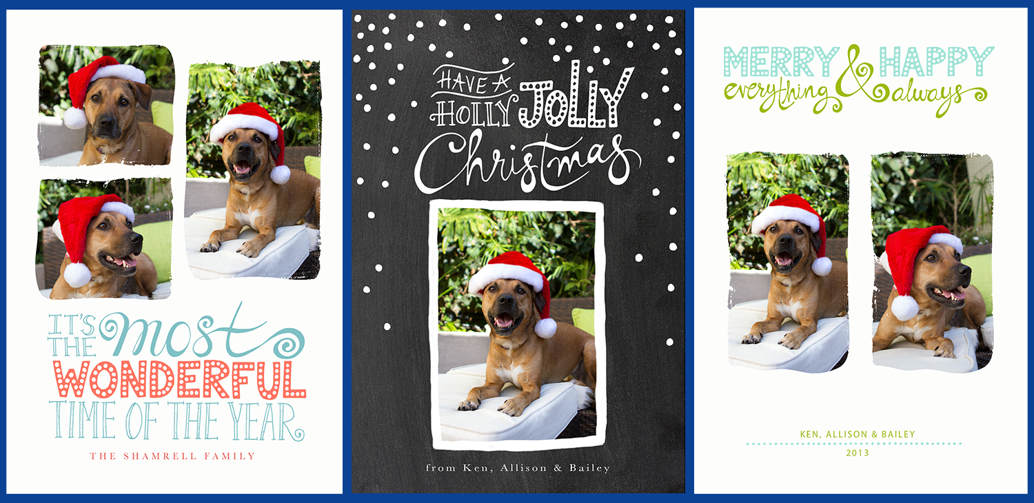 Pet Christmas Cards & Holiday Mini Photo Sessions! San Diego Pet Photographer Allison Shamrell