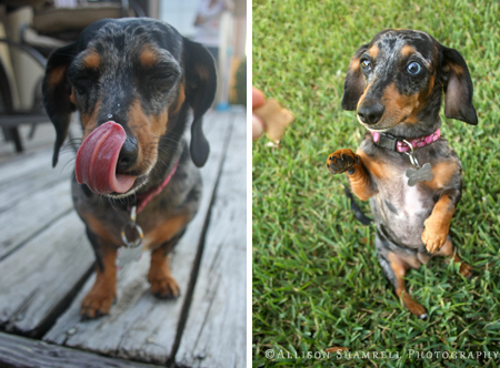 2charlee