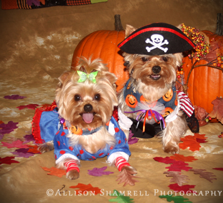 halloween1