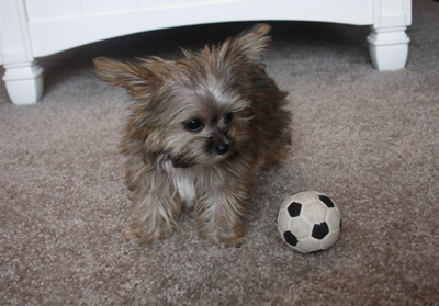 winston3