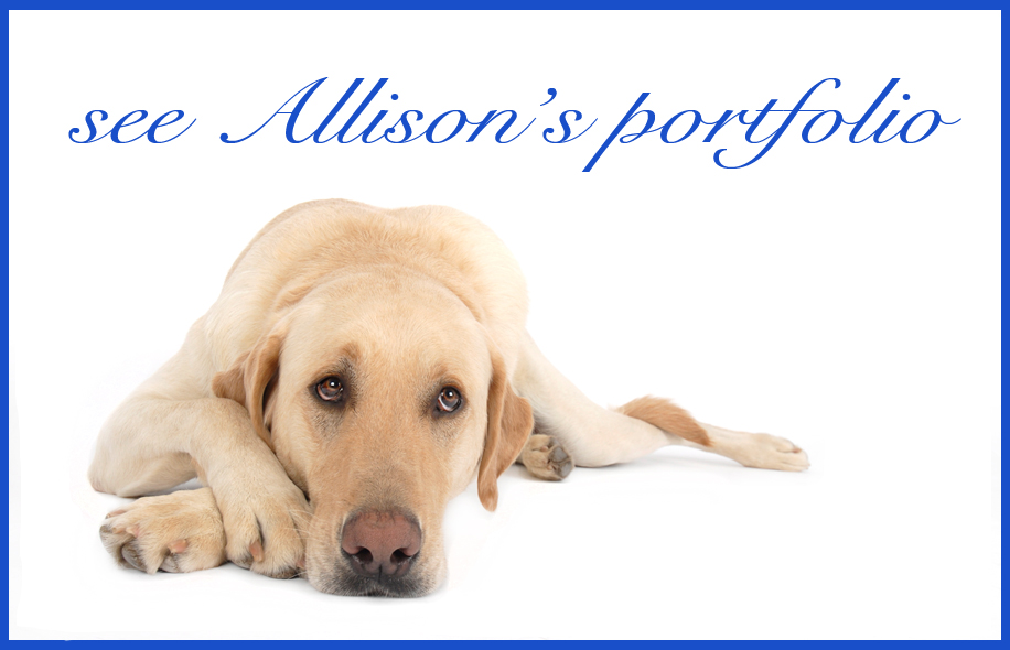 portfoliolink