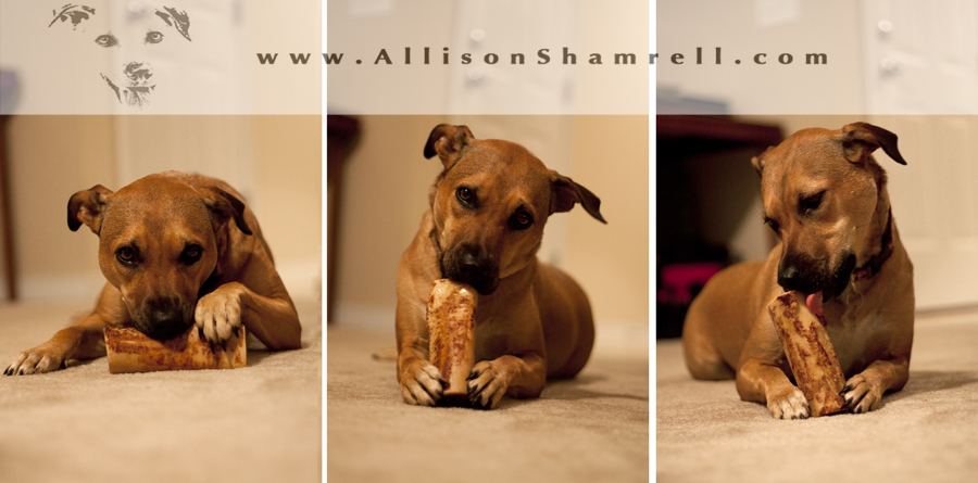 baileybone3
