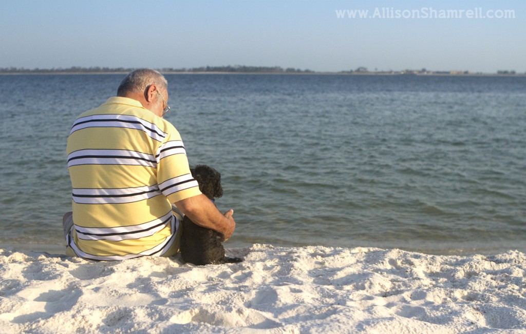 Poodle sits on the beach with his human dad.
