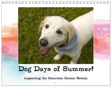 calendar cover Cover of 2013 calendar benefitting the American Cancer Society.