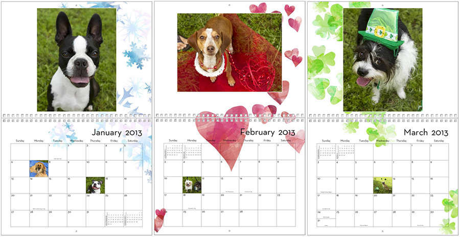 dog calendar months 1