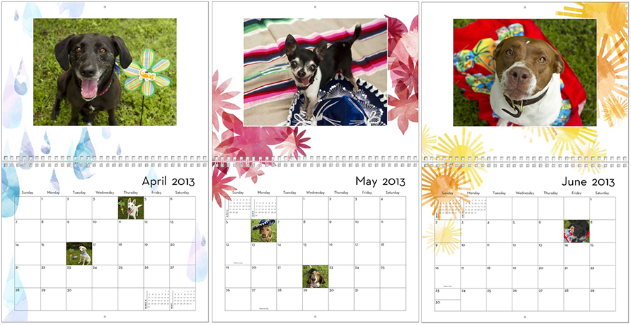 dog calendar months 2