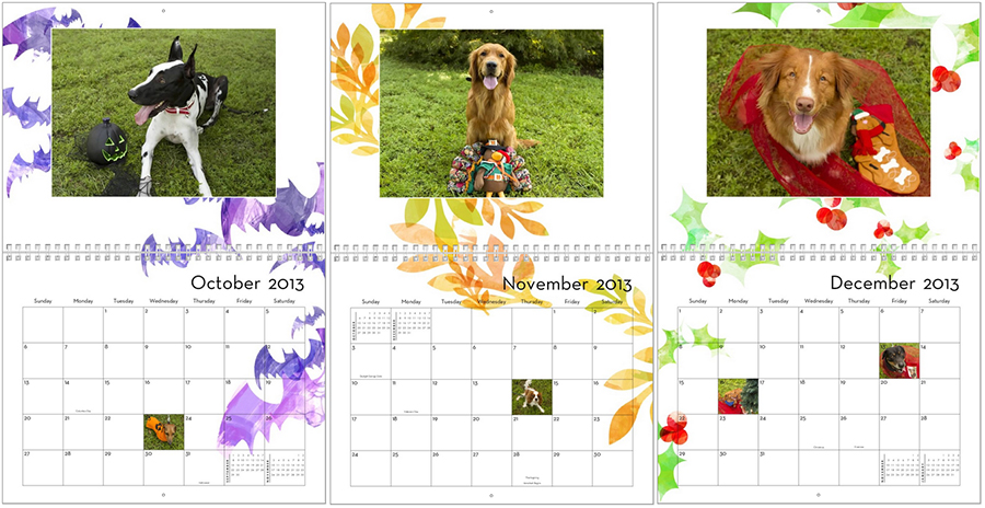 dog calendar months 4