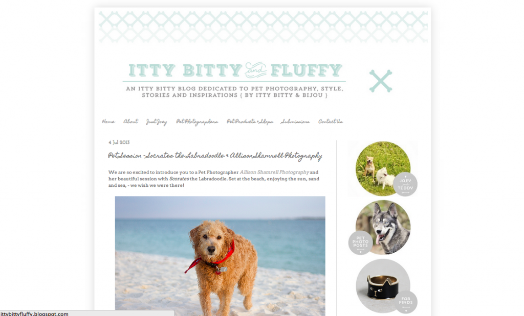 san diego featured pet photographer