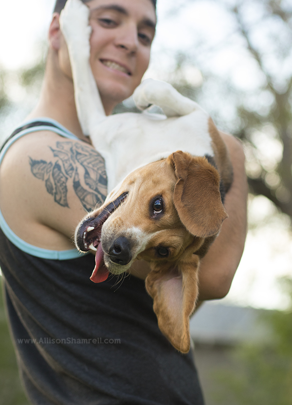vista pet photography