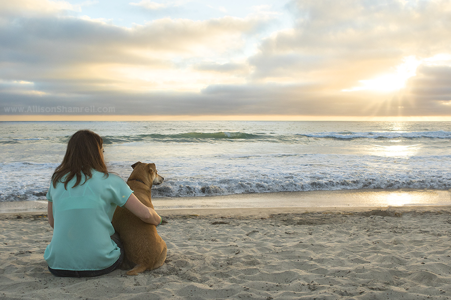del mar mutt photo