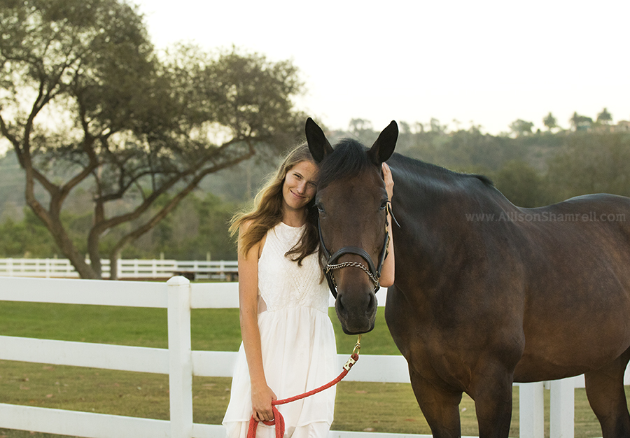 beautiful del mar horse photography