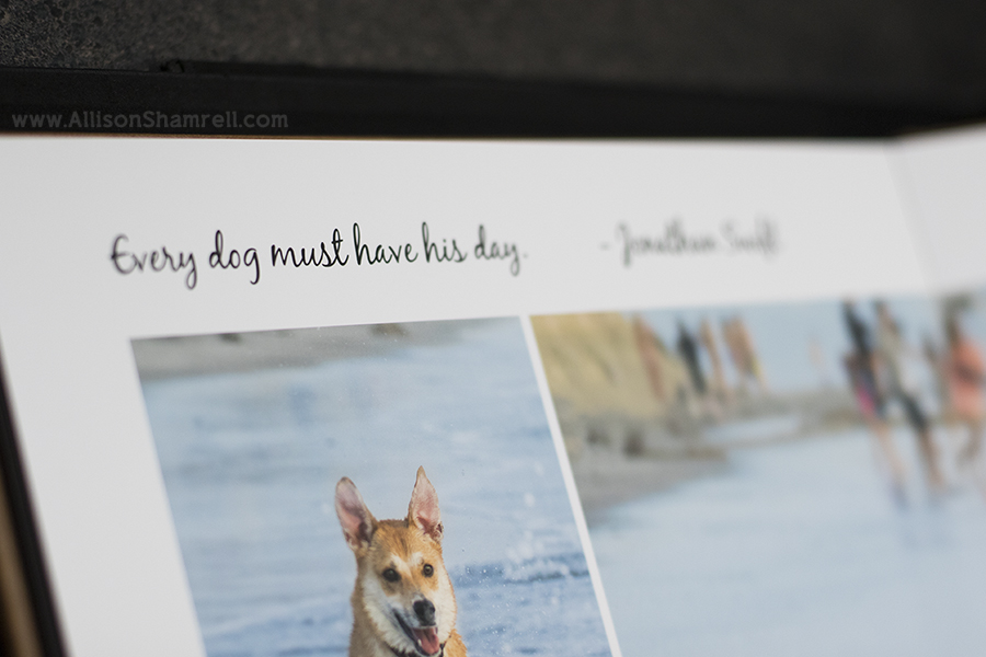 premium albums for pet photography