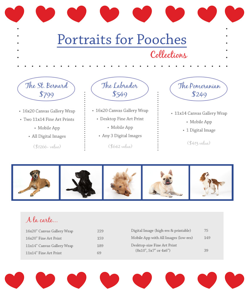 portraits for pooches