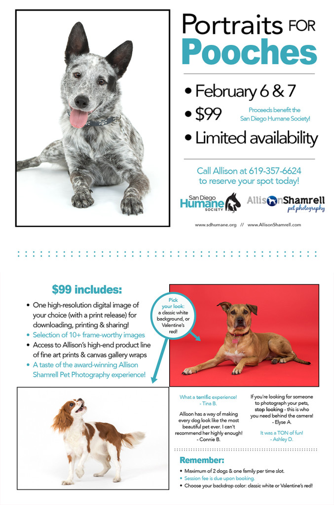 valentine's day fundraiser
