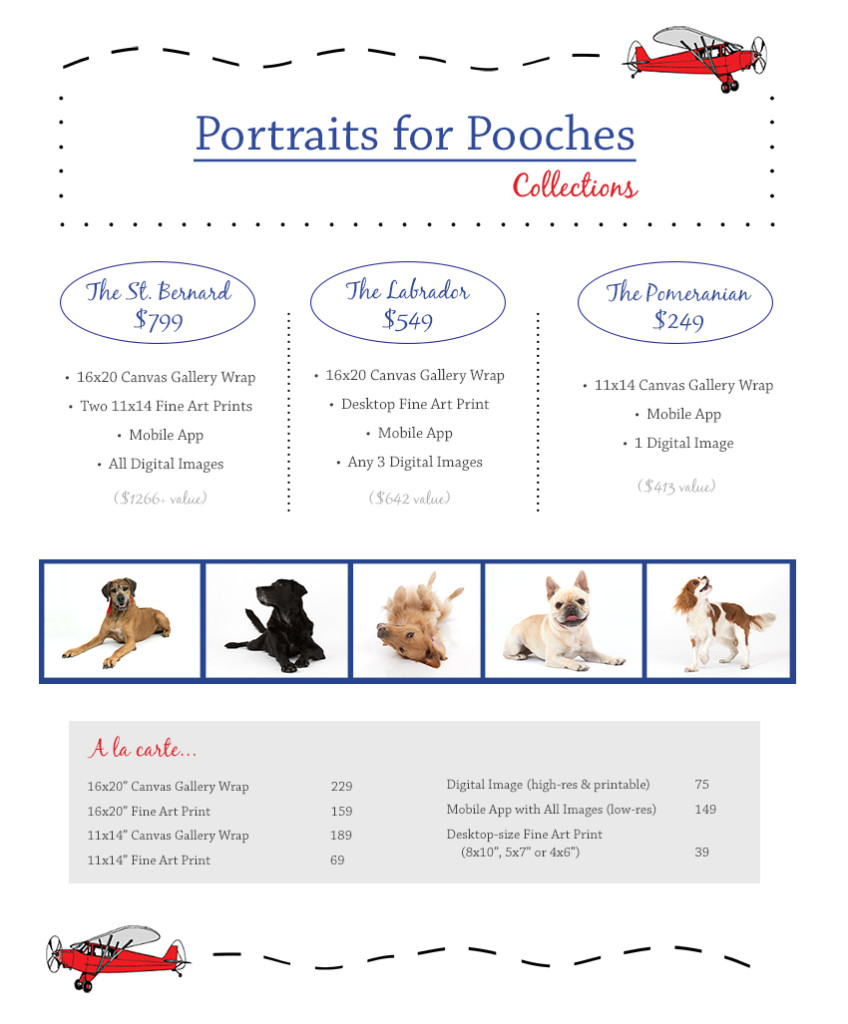 pet photo mini sessions