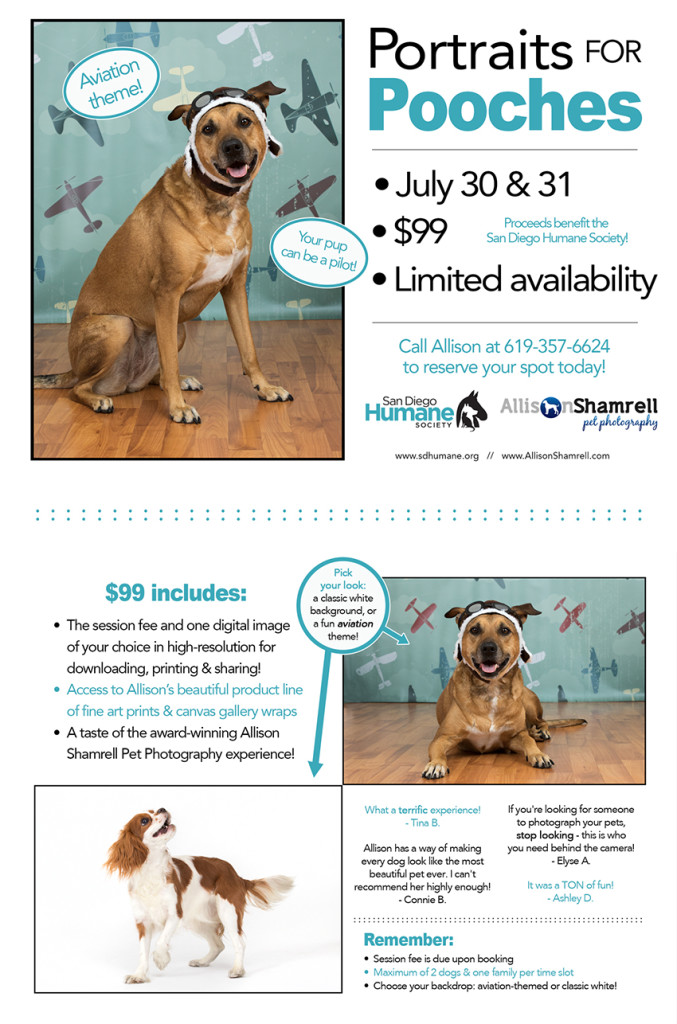 portraits for pooches
