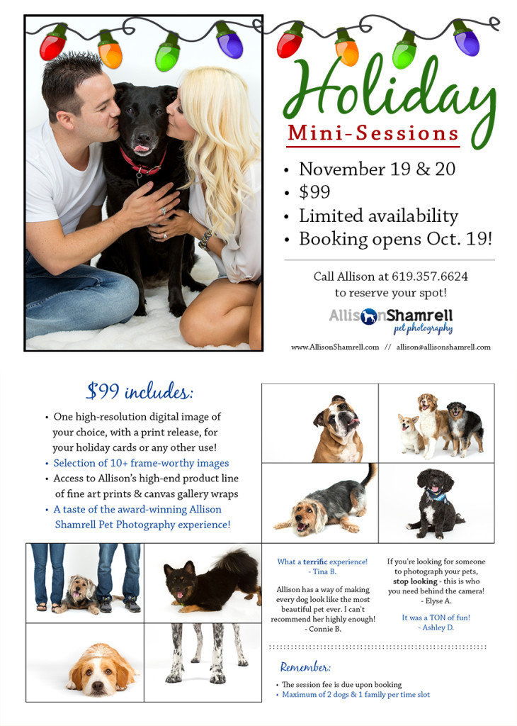 pet photography mini sessions