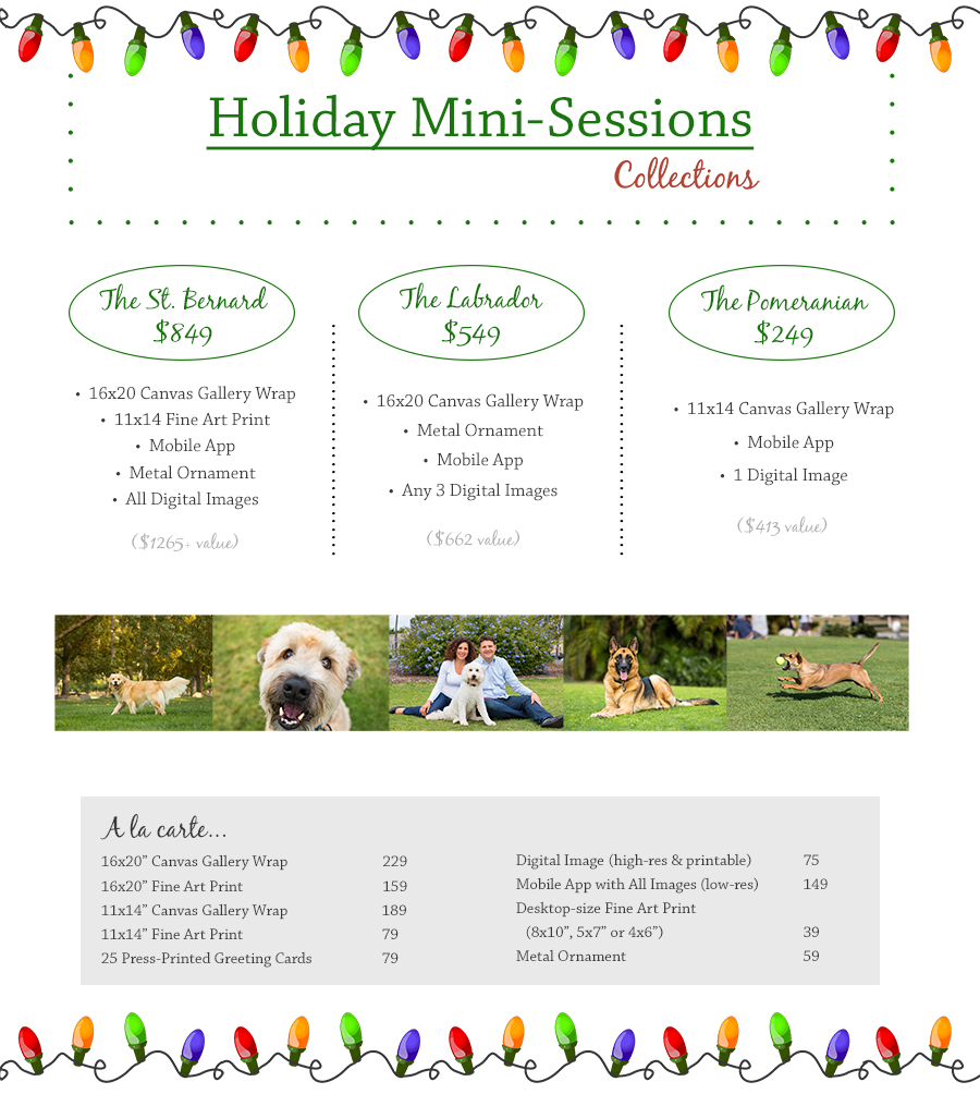 mini-session pricing
