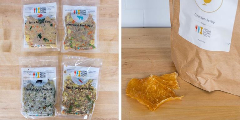 dog food pet trend