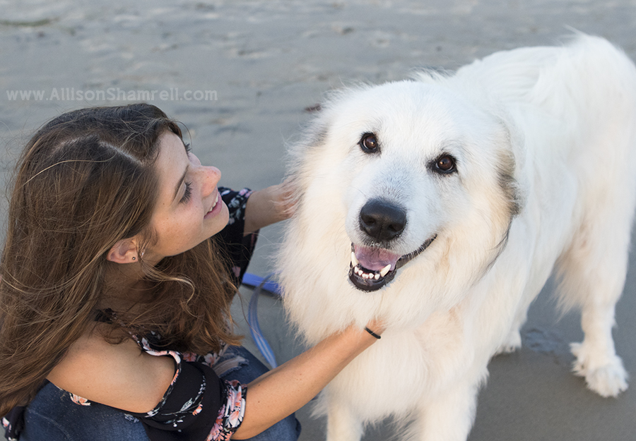 fun beach pet photo