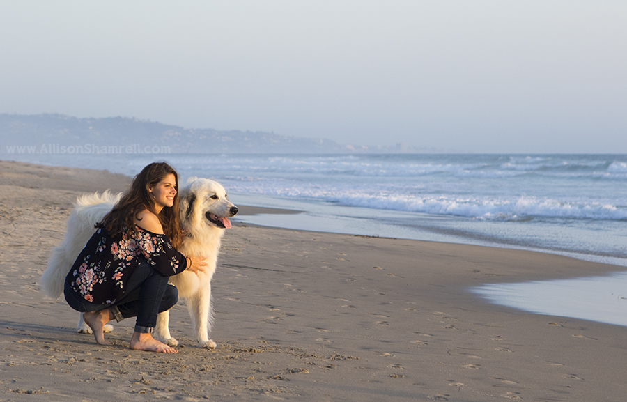girl and dog on the beach