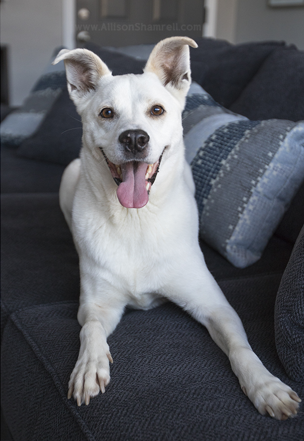 home photo session example