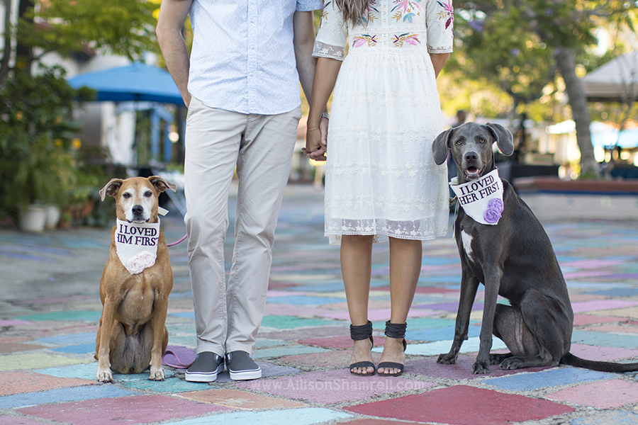balboa park picture with dogs