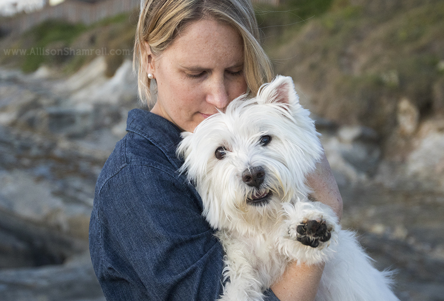 westie snuggling