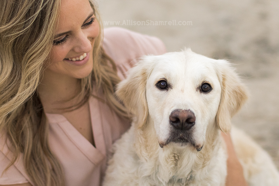 dog with owner